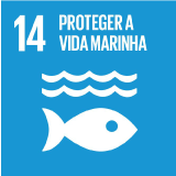 Proteger a Vida Marinha - Objetivo 14