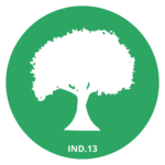 Indicador 13 - Gestão e Conservação da Floresta